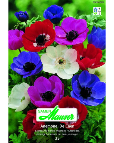 Anemone, Mischung