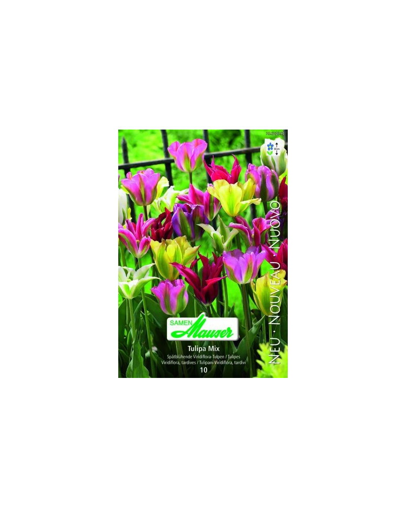 Viridiflora