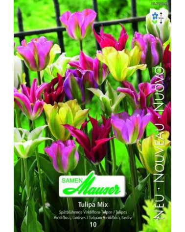 Viridiflora