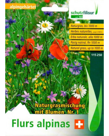 Samen heimische Wiesenblumen Naturblumenmischung Nr. 1 SCHUTZ FILISUR