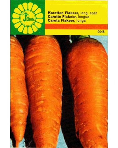 Filisurer Karotten Samen