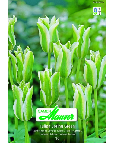 Spring Green 