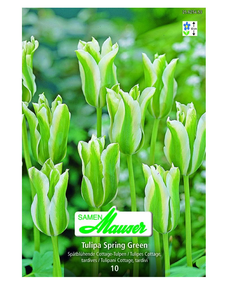 Spring Green 