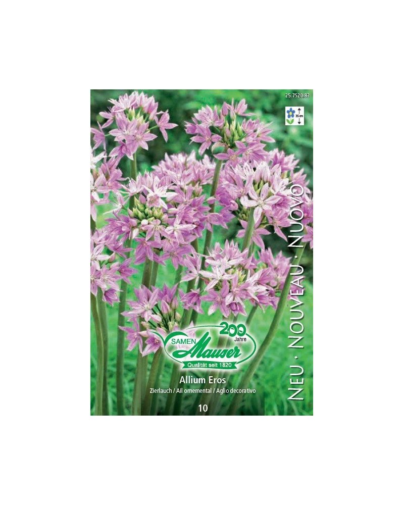 Allium Eros
