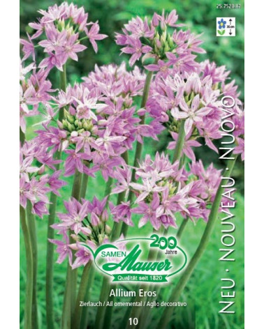 Allium Eros
