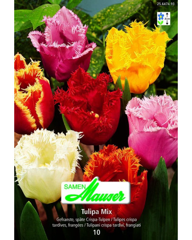 Mischung Crispa-Tulpen 