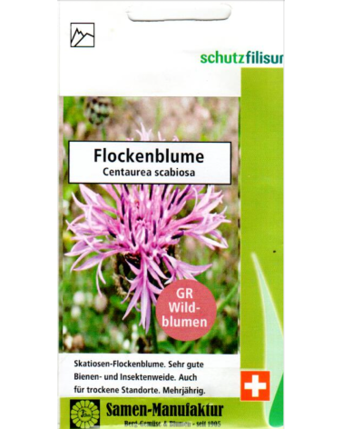 Centaurea scabiosa, Wiesen-Flockenblume