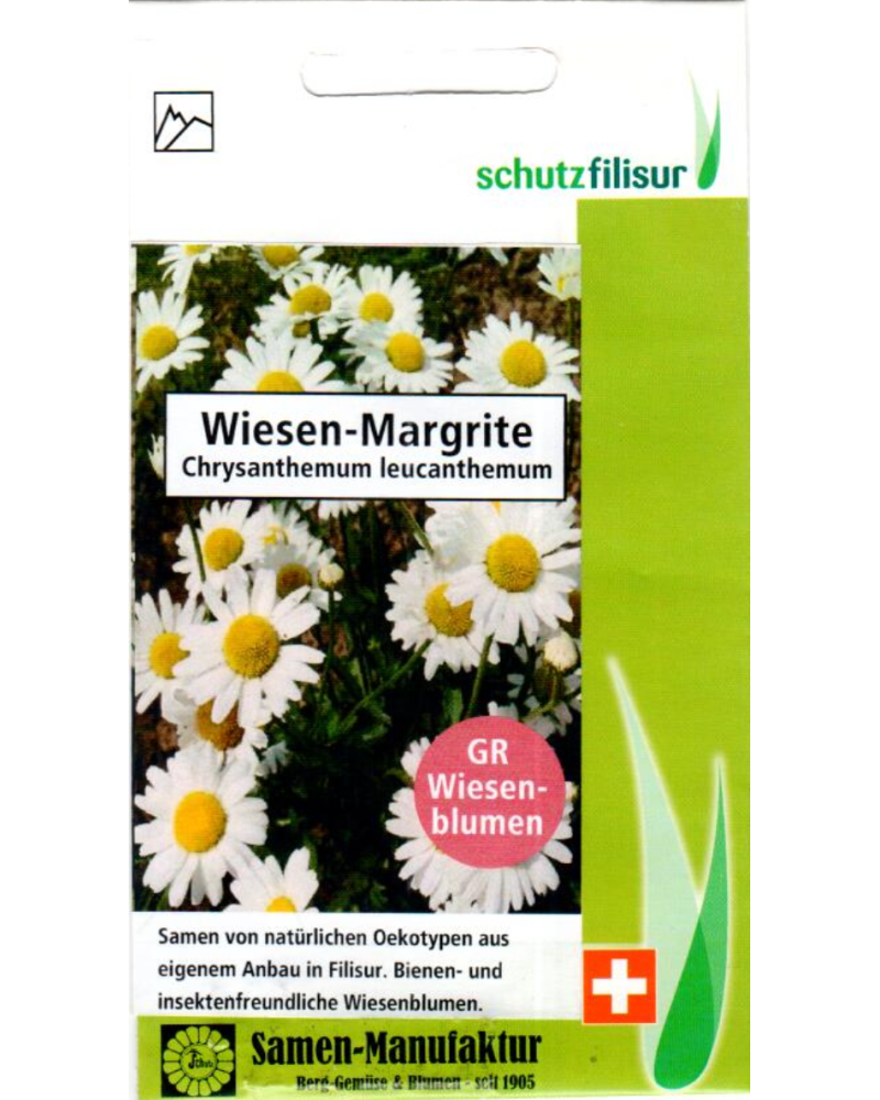 Wiesen-Margrite, Chrysanthemum leucanthemum Samen