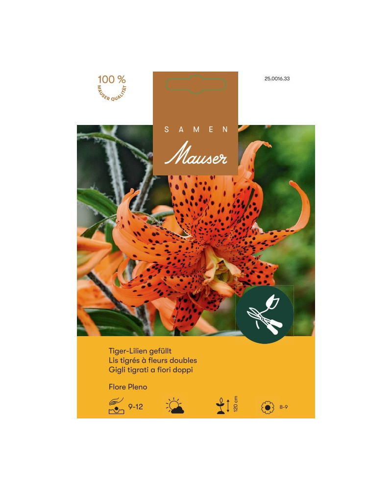 Tiger Lilie Flore Pleno Zwiebeln (orange)
