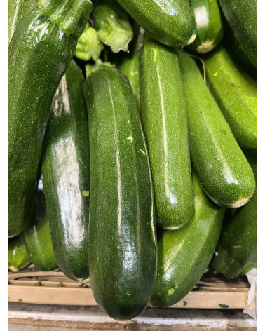 Zucchetti (Zucchini) grün