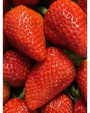 Erdbeere Polka