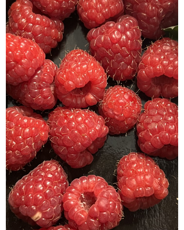 Himbeere Kanadische