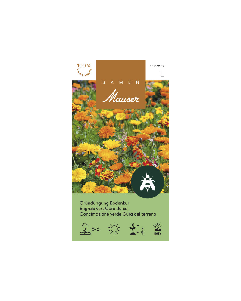 Gründüngung Bodenkur (Ringelblume, Tagetes) Samen