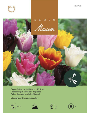 Mischung, Crispa Tulpen Zwiebeln