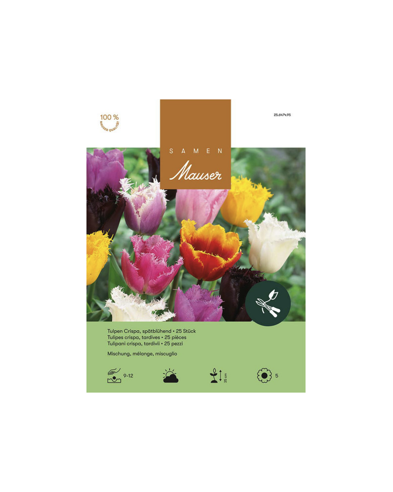 Mischung, Crispa Tulpen Zwiebeln