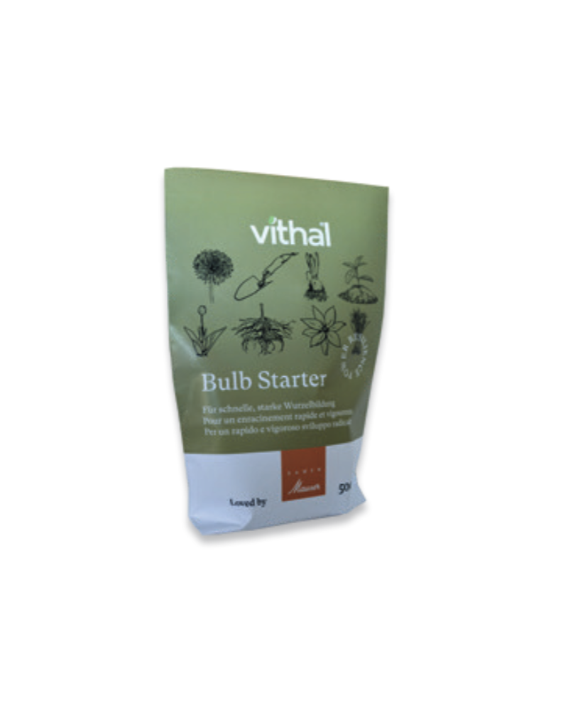 Vithal Bulb Starter