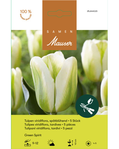 Green Spirit, Viridiflora Tulpen Zwiebeln, weiss-grün