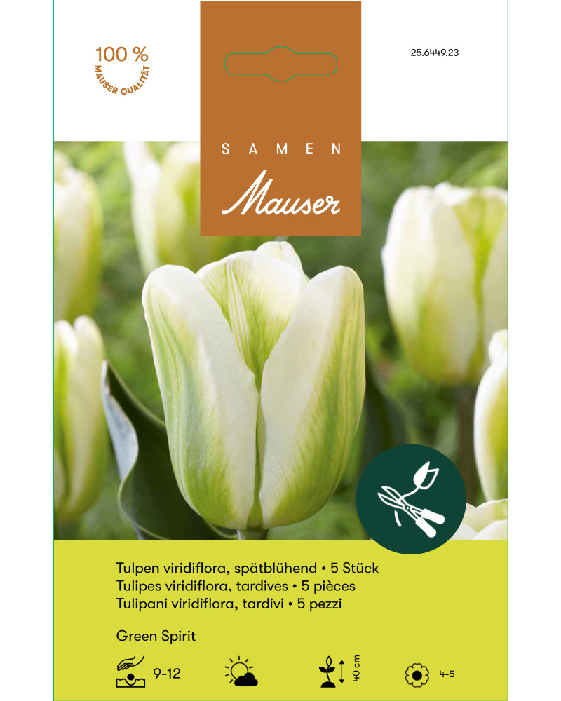 Green Spirit, Viridiflora Tulpen Zwiebeln, weiss-grün