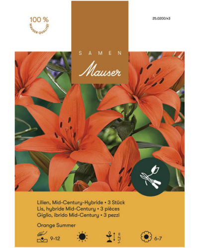 Lilium Mid-Century-Hybriden 'Orange Summer', Lilien Zwiebeln (orange)
