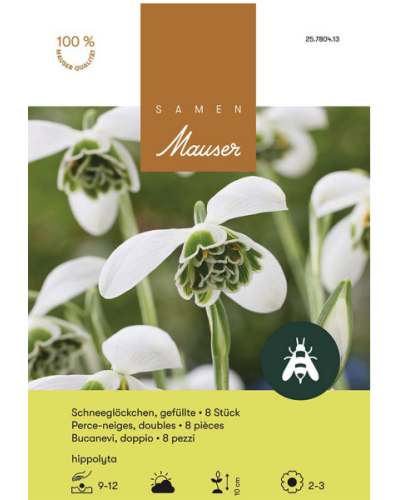 Galanthus hippolyta, Schneeglöckchen gefüllt Zwiebeln