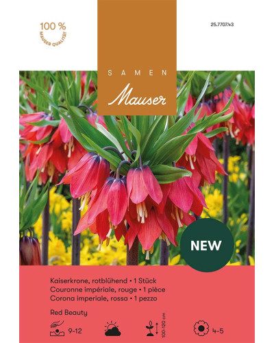Fritillaria Imperialis - Kaiserkrone Red Beauty Zwiebel (orangerot)