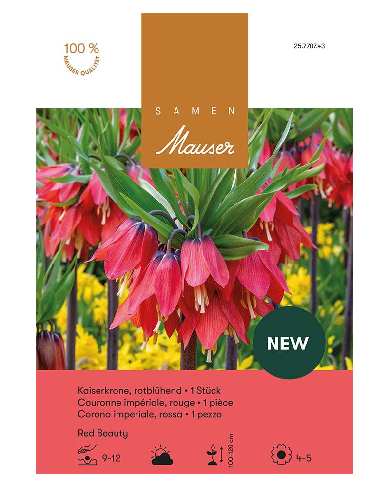 Fritillaria Imperialis - Kaiserkrone Red Beauty Zwiebel (orangerot)