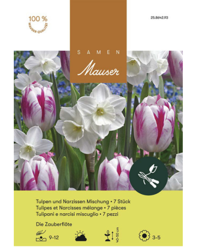 Die Zauberflöte, Mischung Tulpen und Narzissen