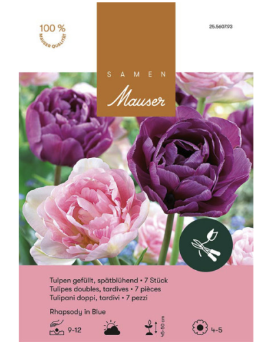 Rhapsody in Blue, (lila,violett,rosa) Tulpenmischung Zwiebeln