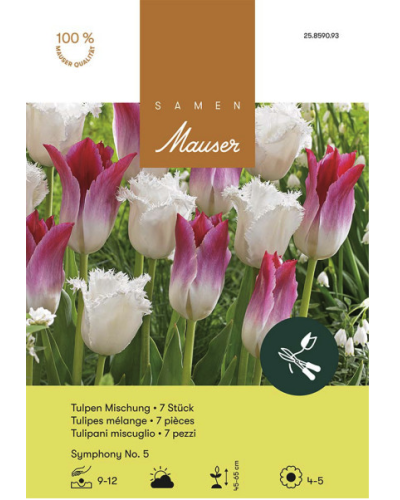 Symphony No. 5, weiss-rosa, Tulpenmischung Zwiebeln