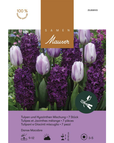 Danse Macabre, (weiss,lila,violett) Mischung Tulpen und Hyazinthen Zwiebeln