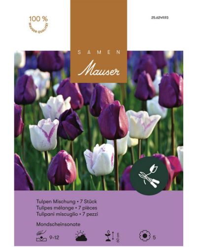 Mondscheinsonate, (lila,violett,weiss) Tulpenmischung Zwiebeln