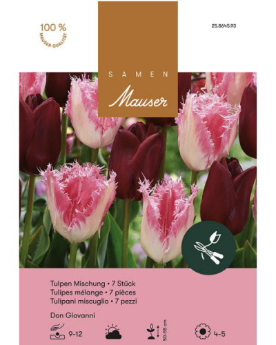 Don Giovanni, (weiss,rosa,purpur) Tulpenmischung Zwiebeln