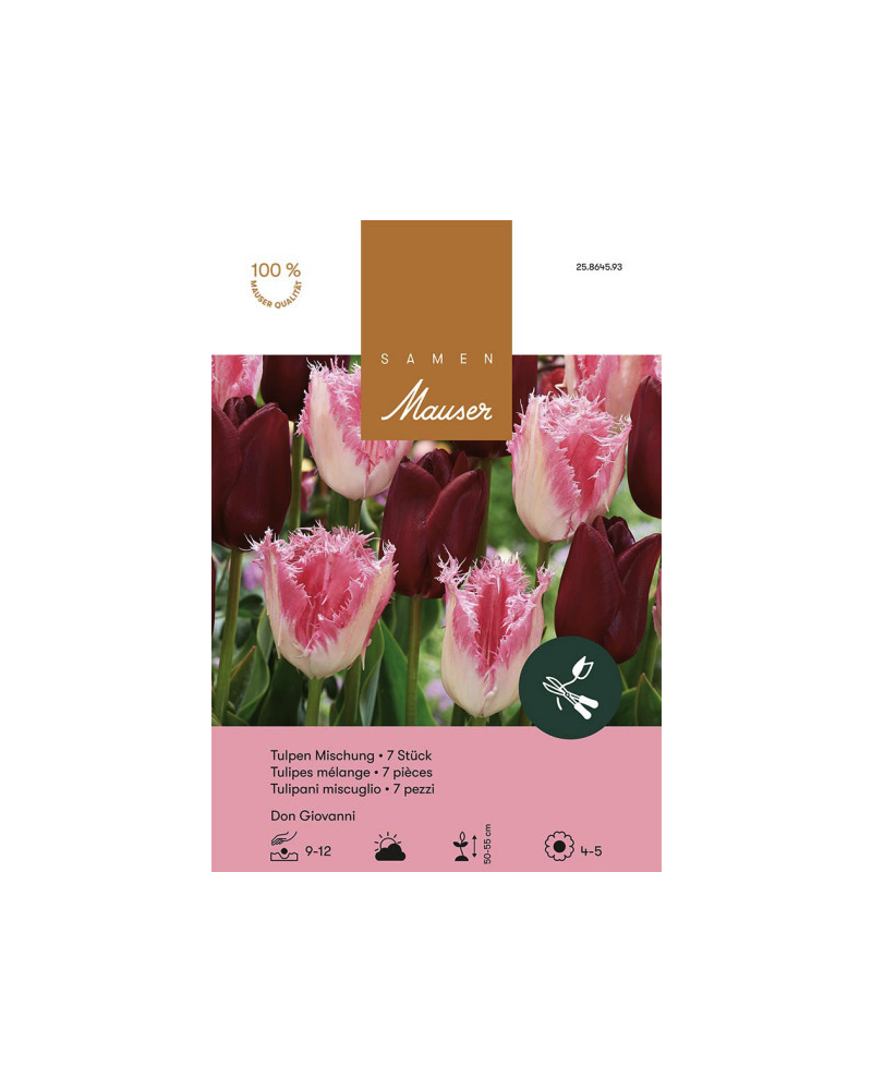 Don Giovanni, (weiss,rosa,purpur) Tulpenmischung Zwiebeln