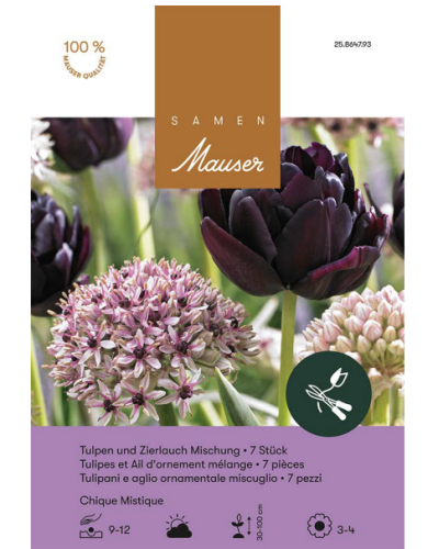 Chique Mistique - (violett,silber) Mischung Tulpen und Allium (Zwiebeln)