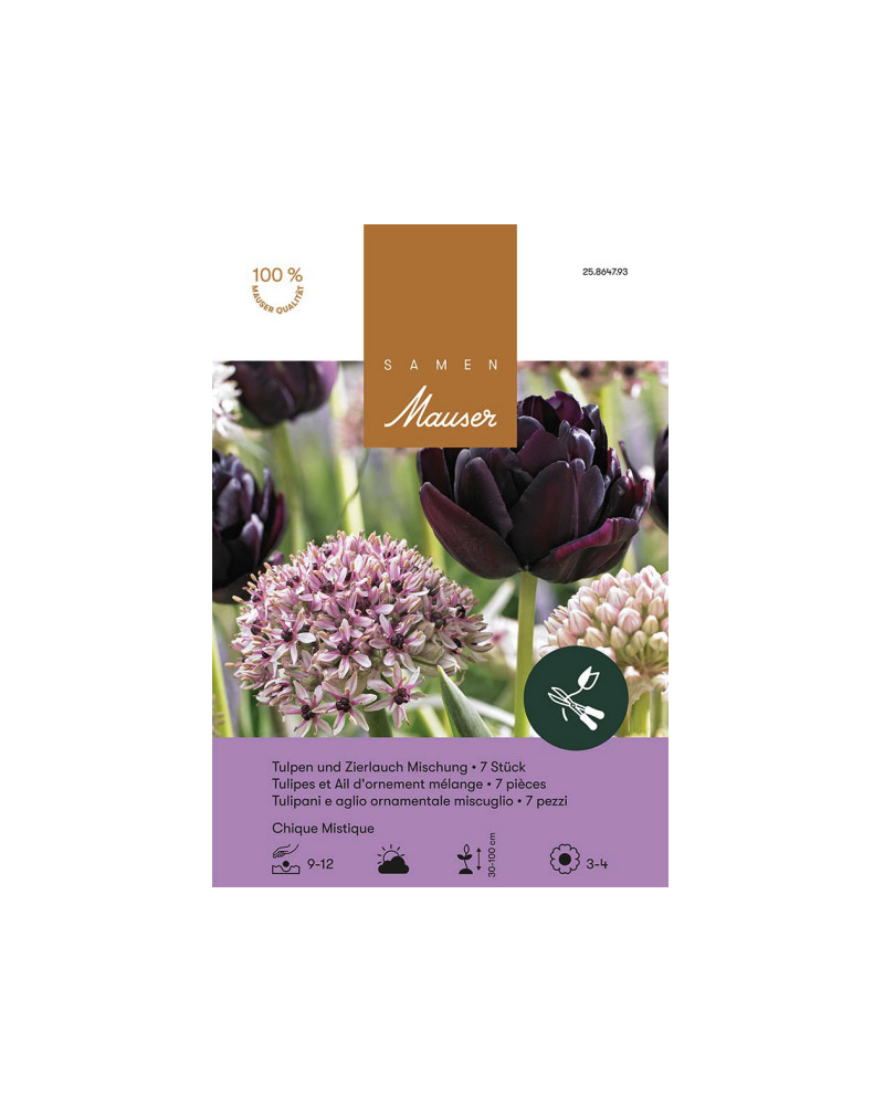 Chique Mistique - (violett,silber) Mischung Tulpen und Allium (Zwiebeln)