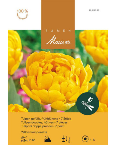Yellow Pomponette, Frühe, gefüllte Tulpen Zwiebeln, gelb