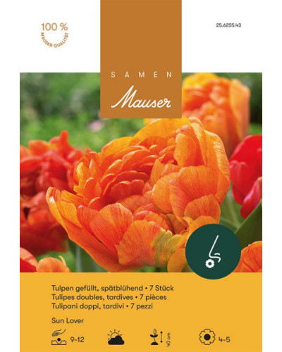 Sun Lover, Späte, gefüllte Tulpen Zwiebeln (orange)