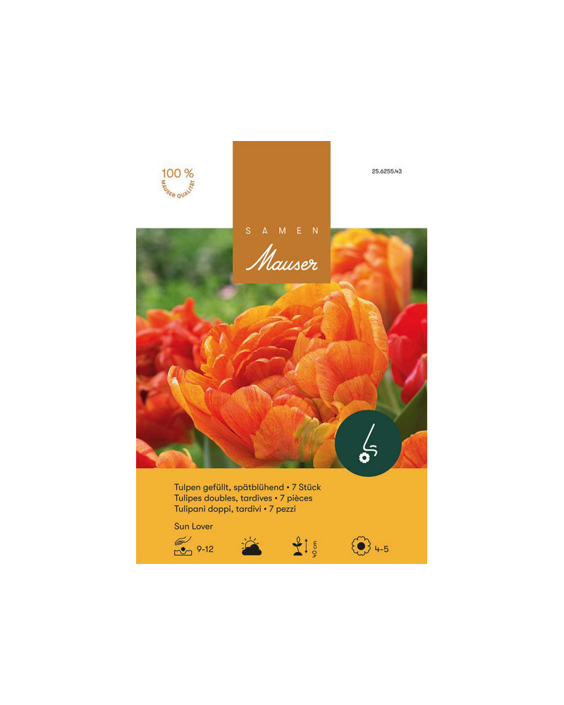 Sun Lover, Späte, gefüllte Tulpen Zwiebeln (orange)