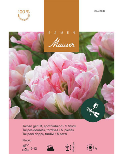Finola Späte gefüllte Tulpen-Zwiebeln, rosa