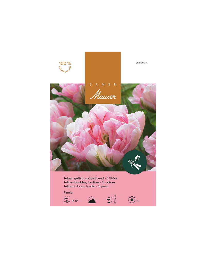 Finola Späte gefüllte Tulpen-Zwiebeln, rosa