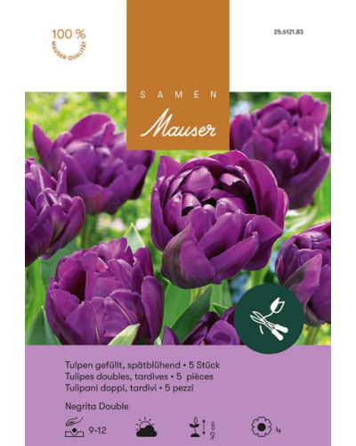 Negrita Double, Späte, gefüllte Tulpen Zwiebeln (lila, violett)