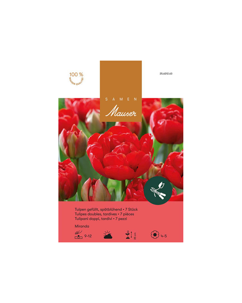 Miranda, Späte, gefüllte Tulpen Zwiebeln (rot)