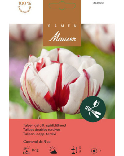 Carnaval de Nice, Späte, gefüllte Tulpen Zwiebeln