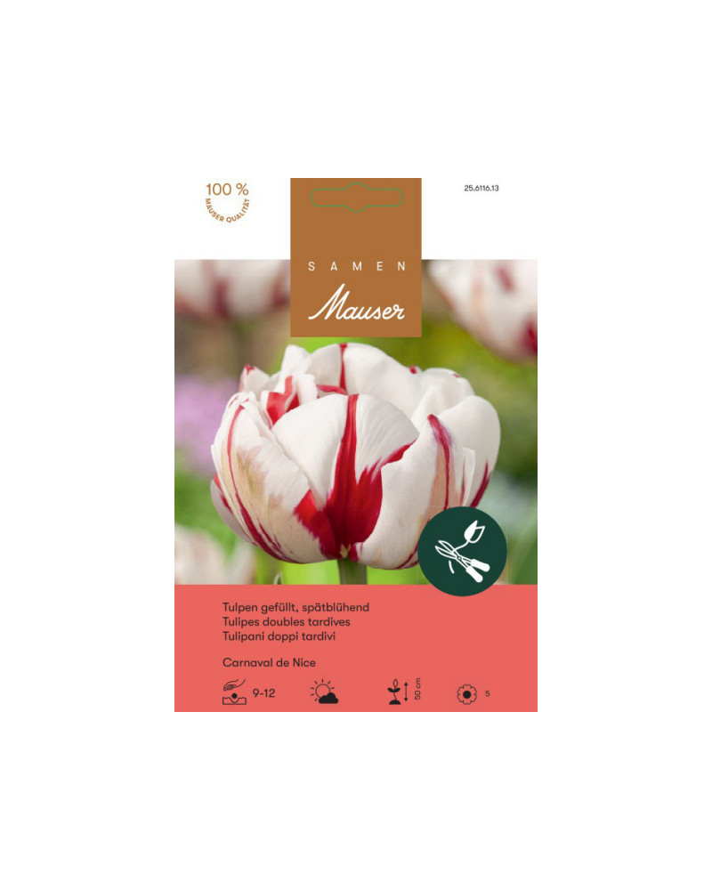 Carnaval de Nice, Späte, gefüllte Tulpen Zwiebeln