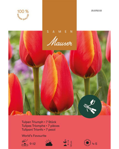 World's Favourit, rot, Triumph Tulpen Zwiebeln