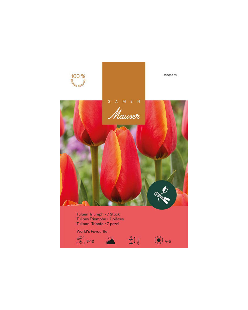 World's Favourit, rot, Triumph Tulpen Zwiebeln