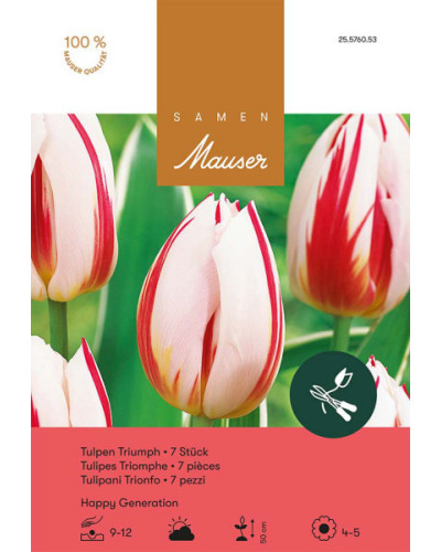 Happy Generation, Triumph Tulpen Zwiebeln (weiss, rot)