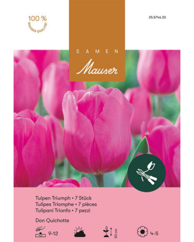 Don Quichotte, Triumph Tulpen Zwiebeln (rosa)