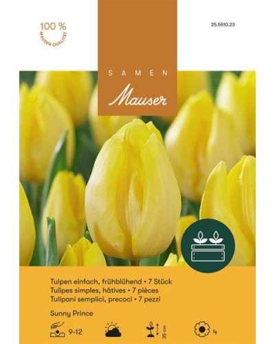 Sunny Prince, Frühe Tulpen Zwiebeln (gelb)