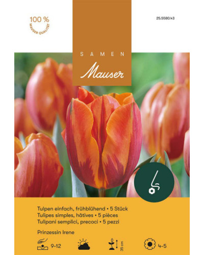 Princesse Irène, Frühe Tulpen Zwiebeln (orange)